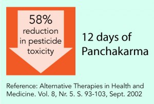 reduction in pesticide toxicity through Panchakarma
