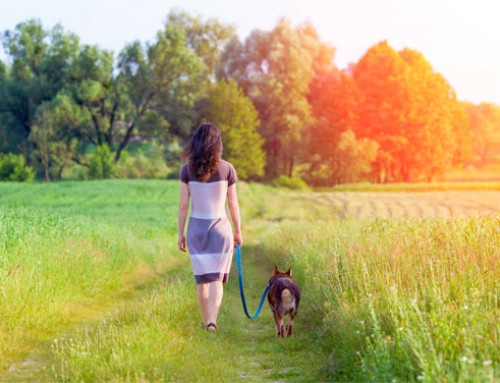 Take a Morning Walk to Lose Weight, Feel Great