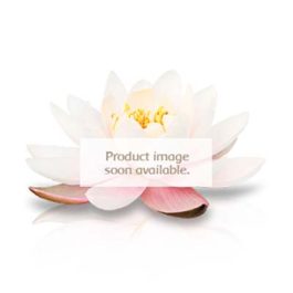 Frankincense, India Essential Oil 10ml