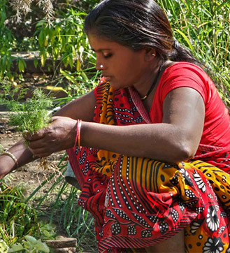 Ayurveda: The Science of Long Life